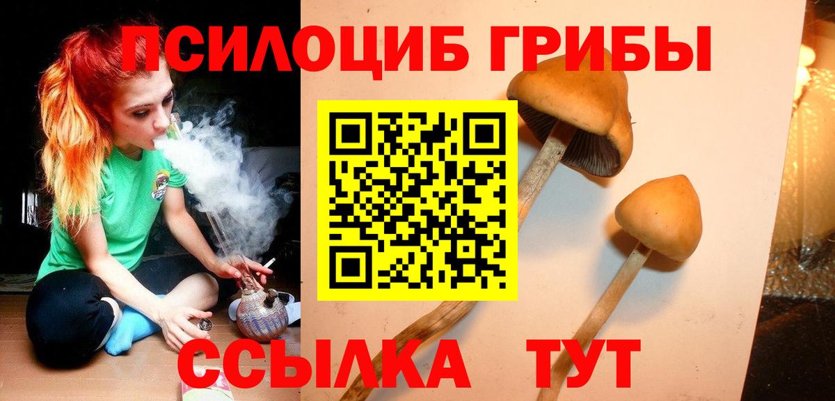Чусовой  Галлюциногенные грибы Psilocybe  Вход с VPN  Галлюциногенные грибы MAGIC MUSHROOMS 
